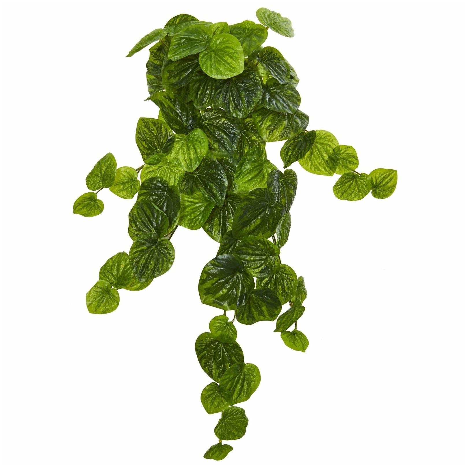 

Nearly Natural 25-inch Peperomia Artificial Hanging Bush