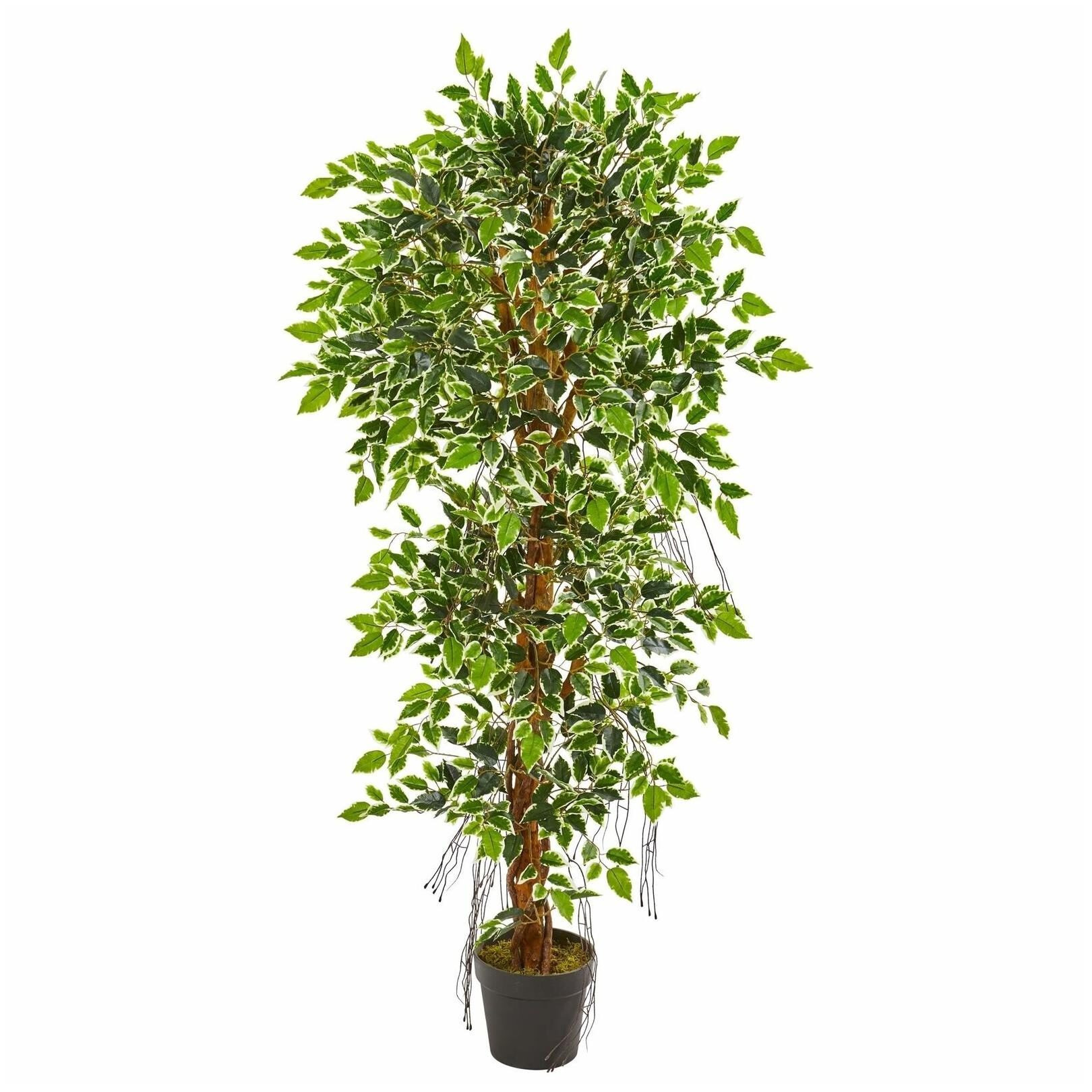 

Nearly Natural 5-foot Elegant Ficus Artificial Tree