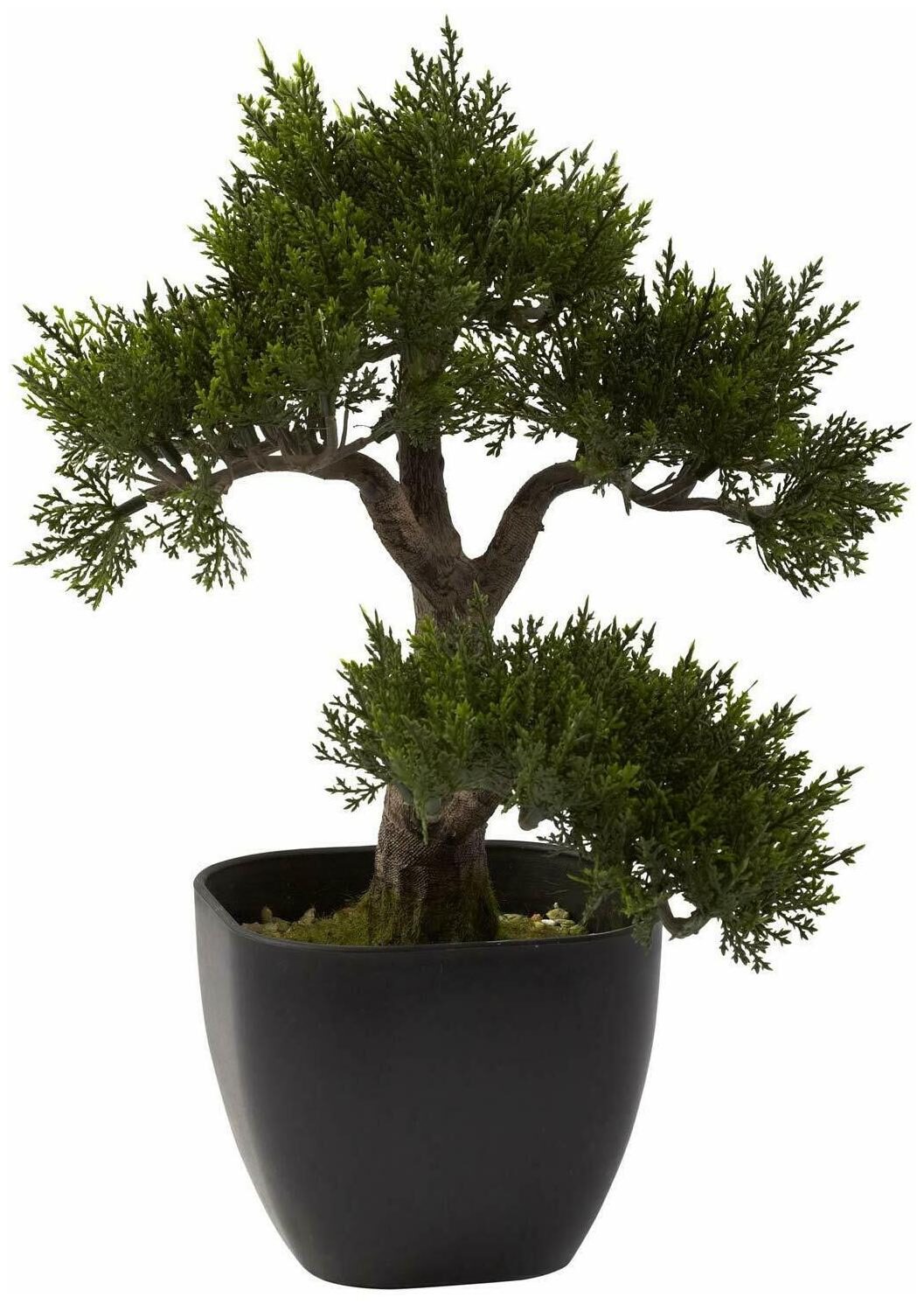 

Nearly Natural Cedar Bonsai Silk Plant