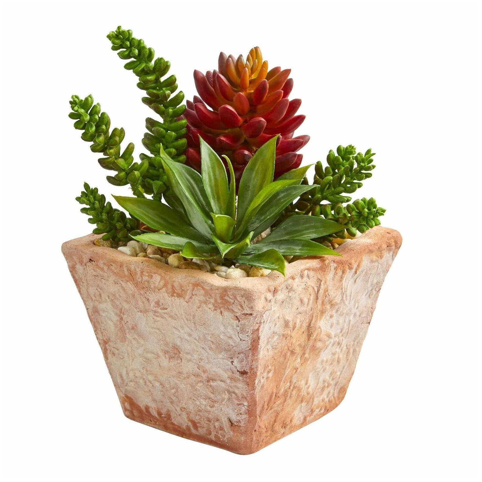 

Nearly Natural Mixed Succulents Artificial Plant in Small