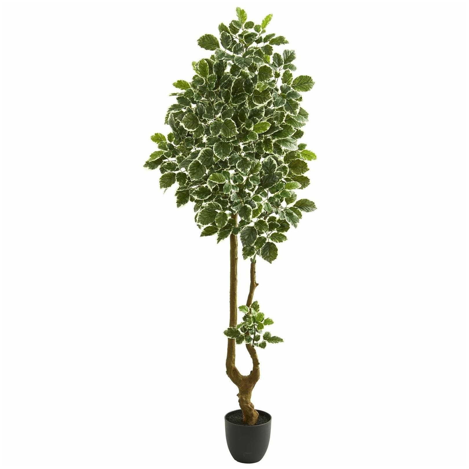 

Nearly Natural Variegated Aralia 6 5-foot Artificial Tree