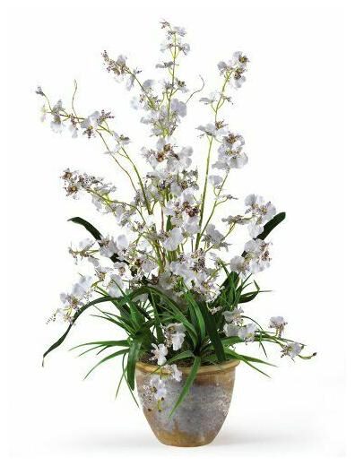 

Nearly Natural Dancing Lady Silk Orchid Arrangement