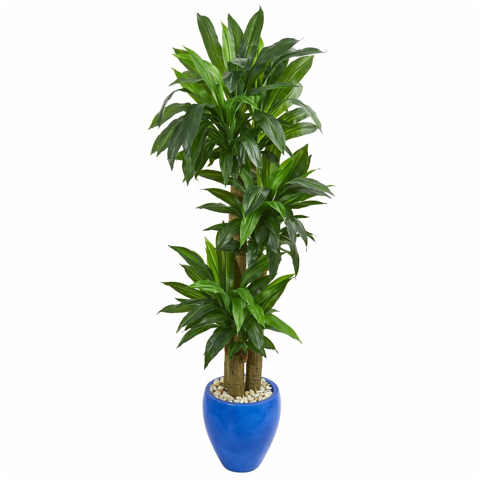 

Nearly Natural Real Touch 6-foot Cornstalk Dracaena