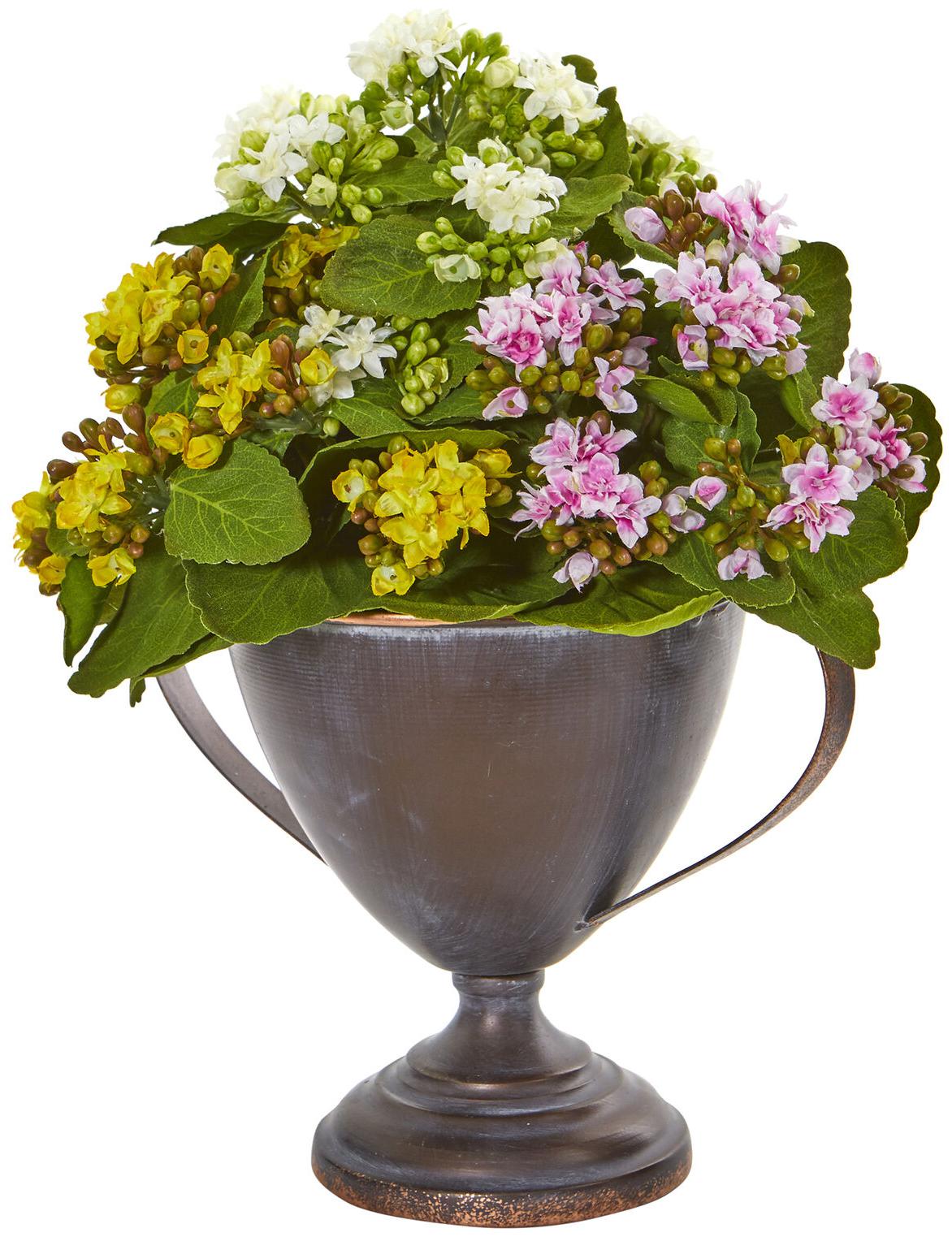 

Nearly Natural 13 Kalanchoe Artificial Plant in Decorative Goblet Assortment 2