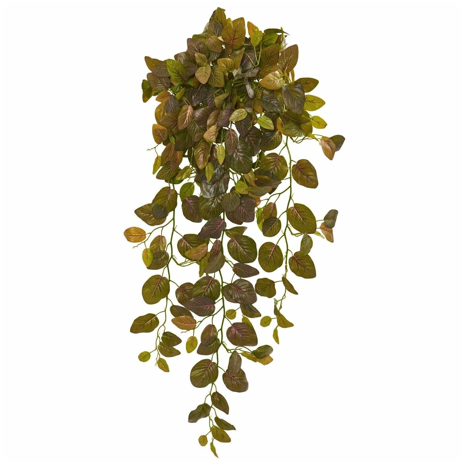 

Nearly Natural 36-inch Fittonia Hanging Bush Artificial