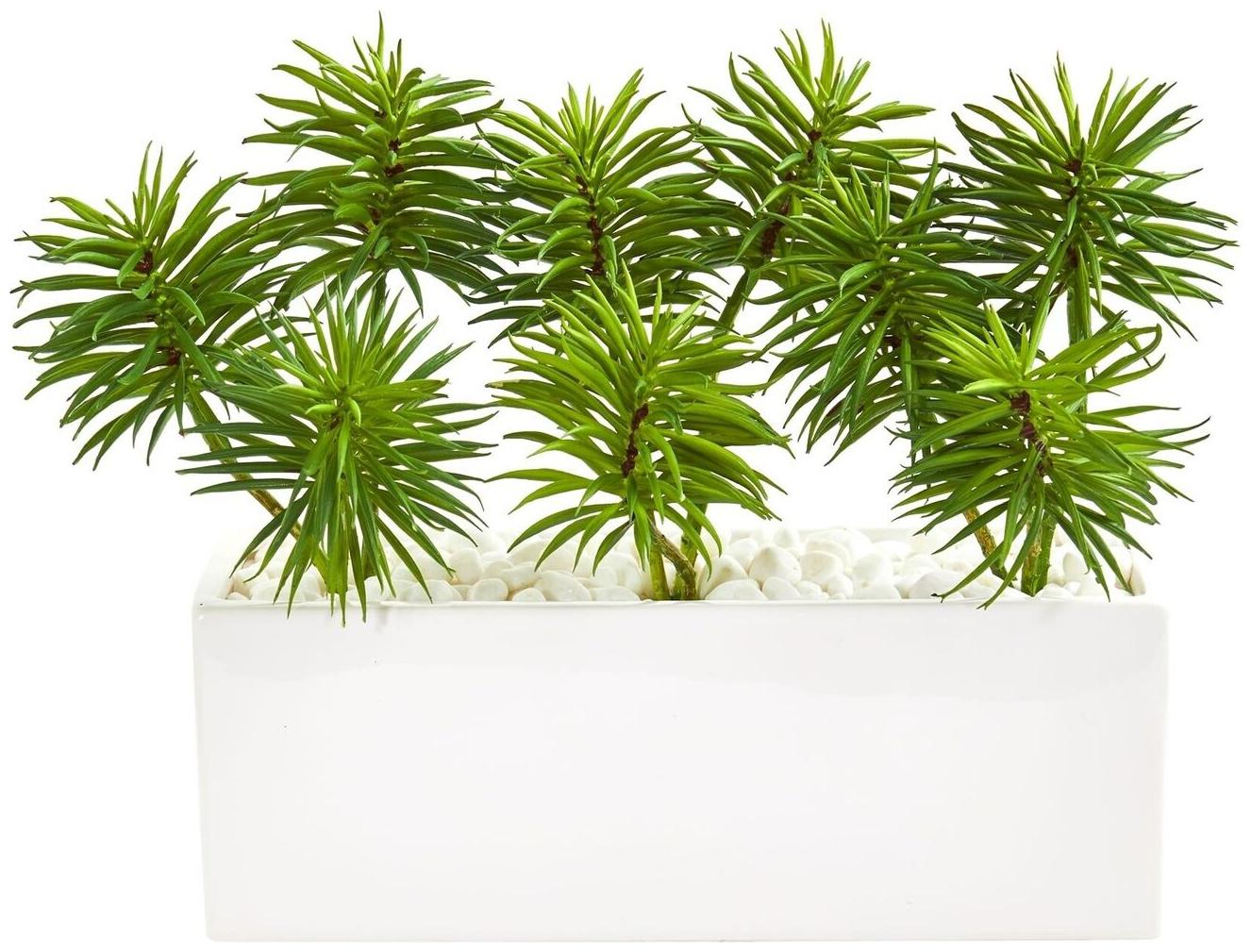 

Nearly Natural Green Spiky Succulent Garden Artificial Plant