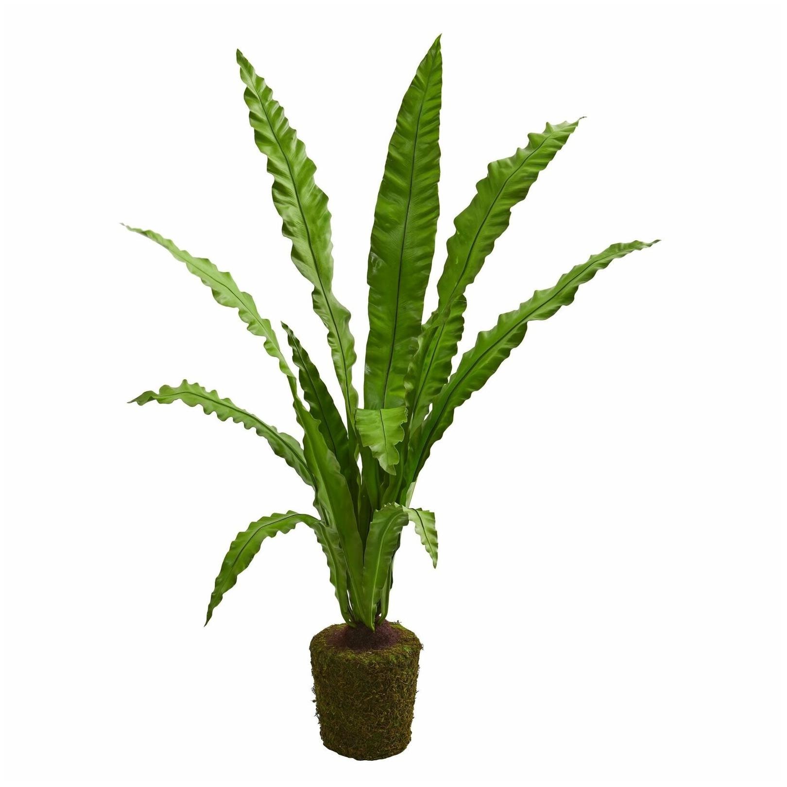 

Nearly Natural 5-foot Birdsnest Artificial Plant