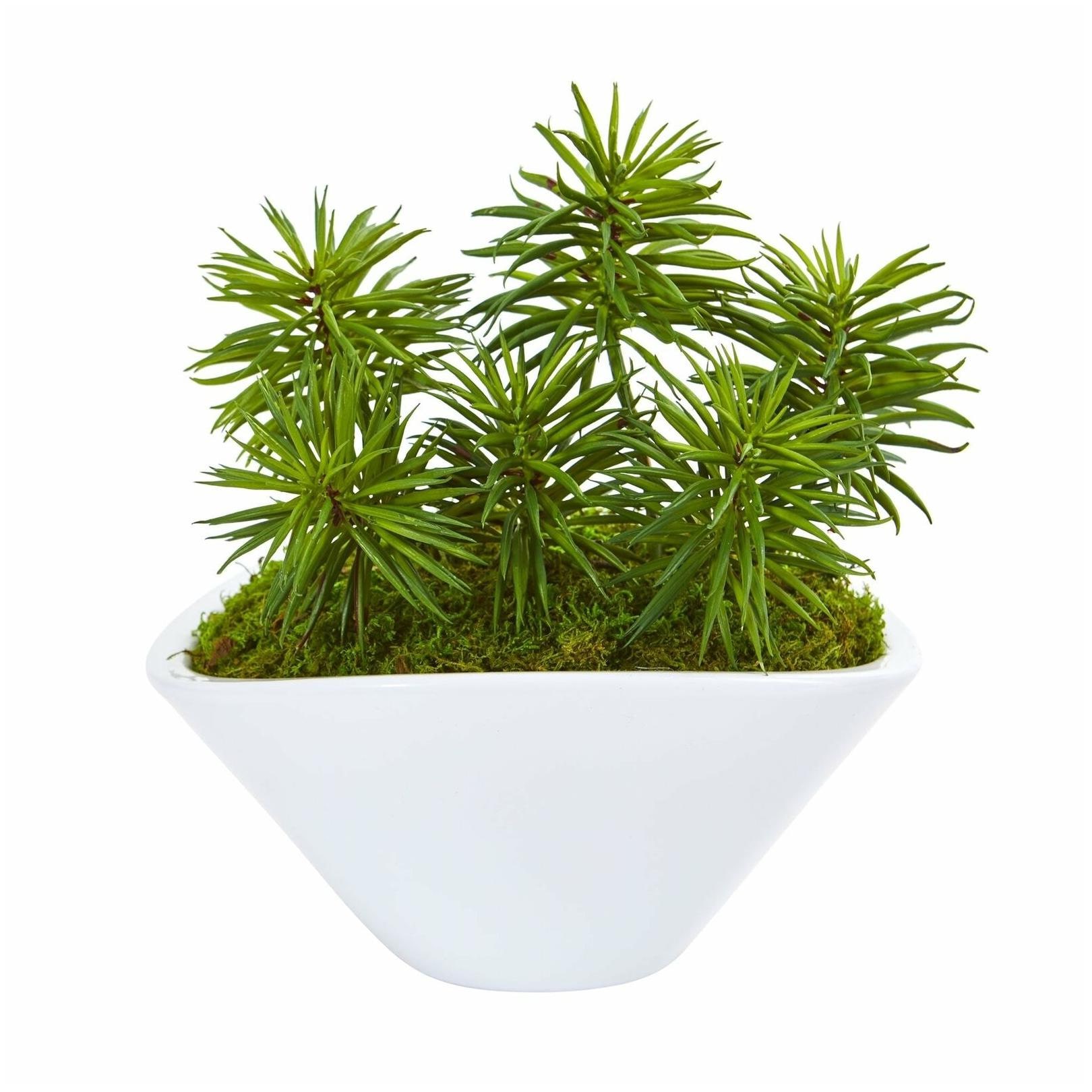 

Nearly Natural Succulent Garden Artificial Plant