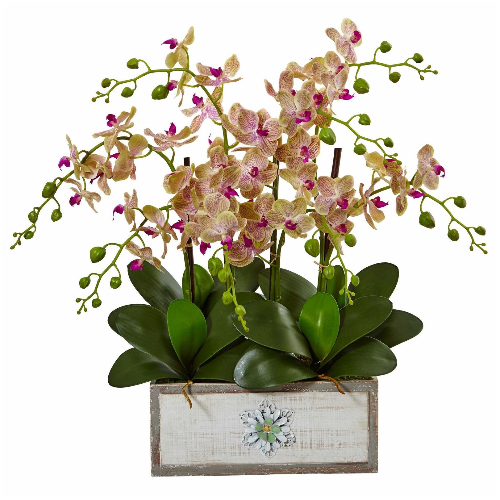 

Nearly Natural Phalaenopsis Orchid Arrangement in Decorative