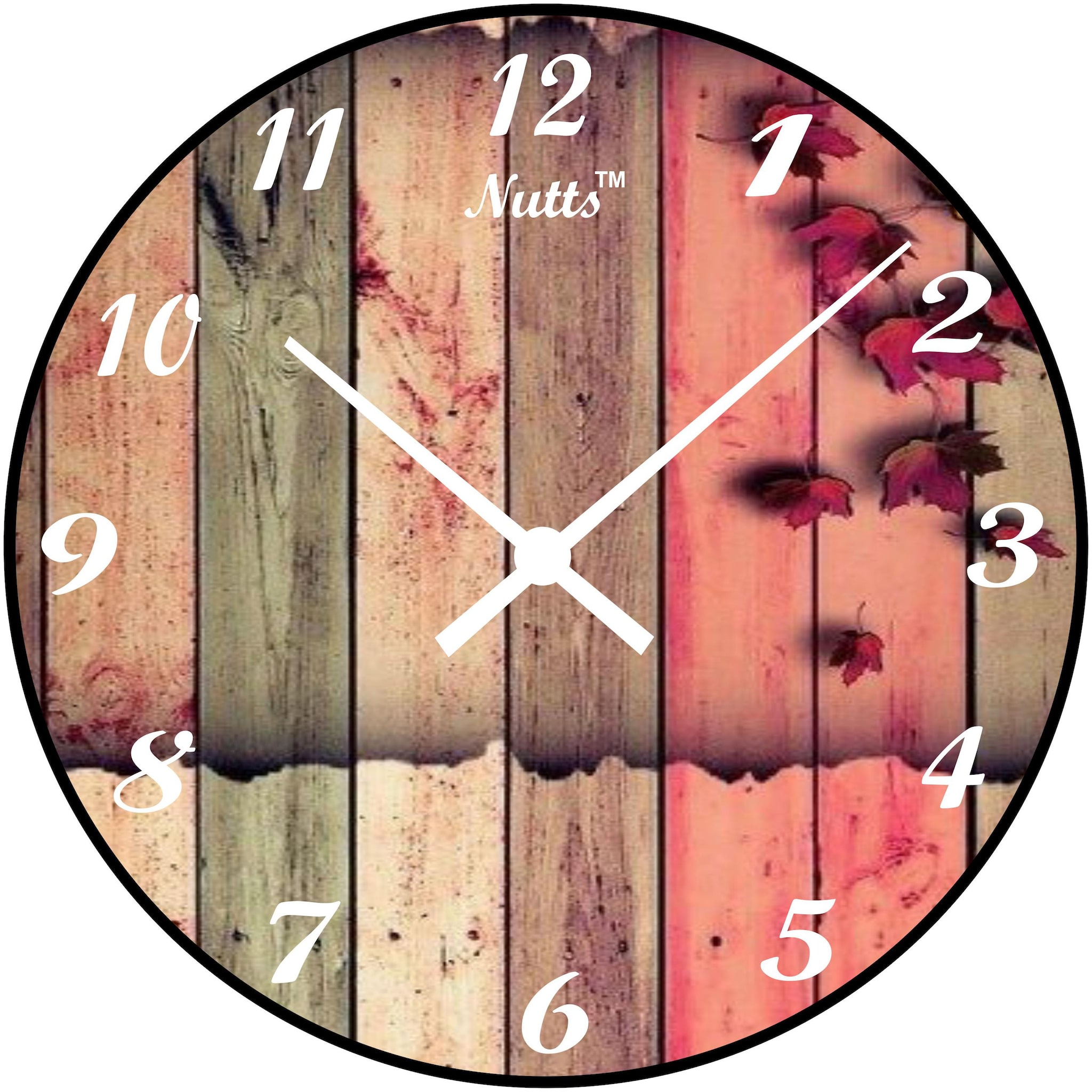 

Nutts Plastic Analog Wall clock ( Set of 1 )