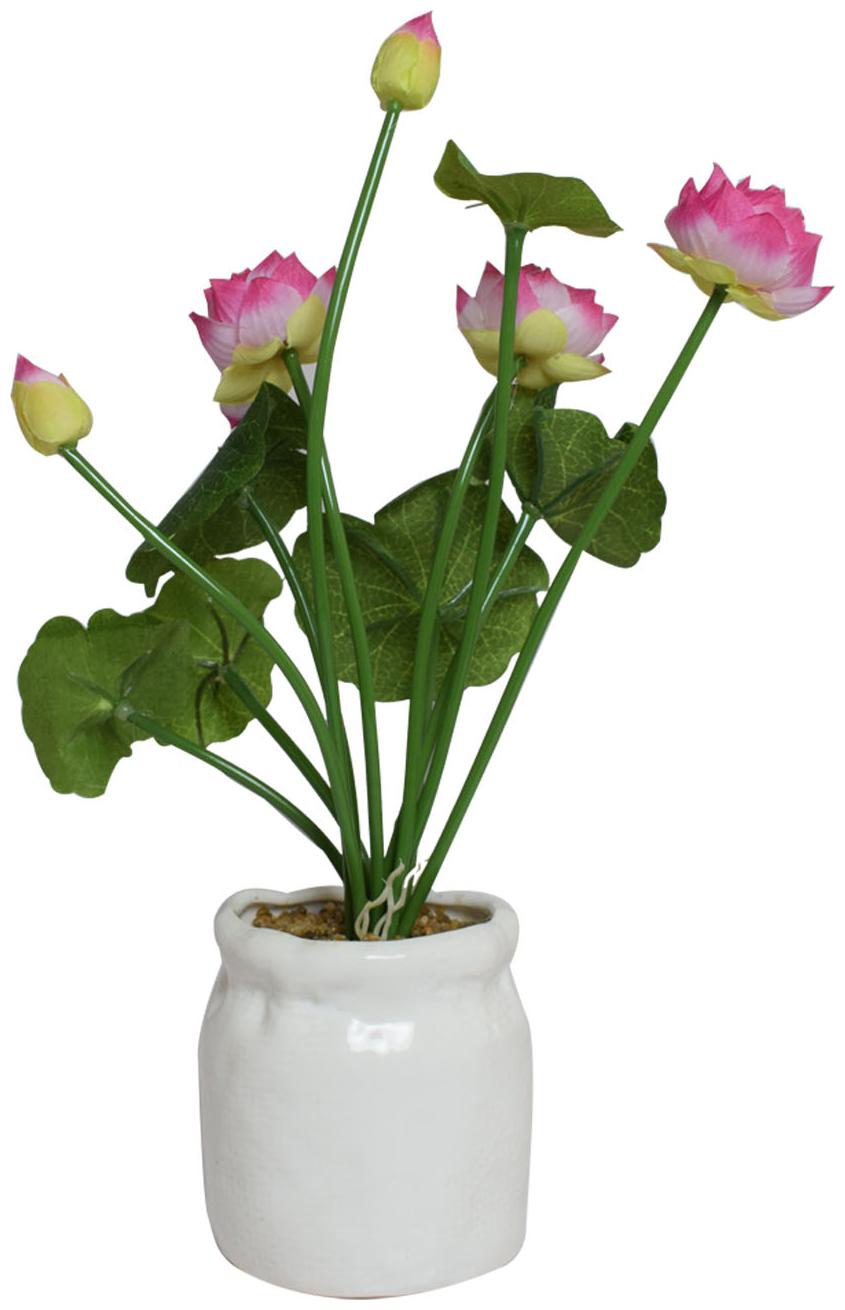 

Nyrwana Artificial Indoor Flower Blooming in Premium White Ceramic Planter with Great Gift and Shelf Plant - Pink
