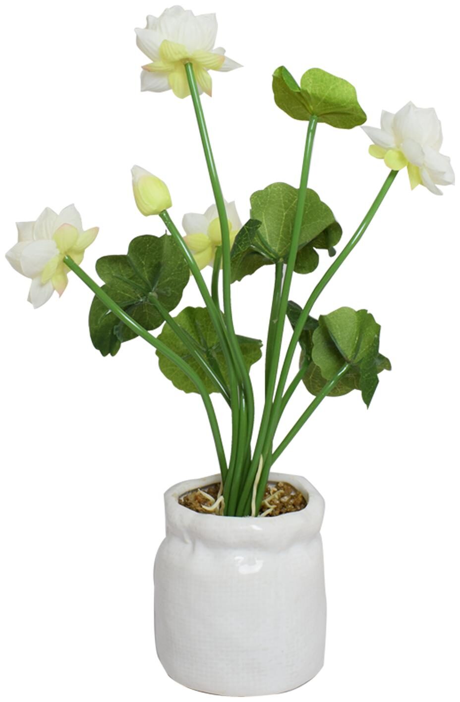 

Nyrwana Artificial Indoor Flower Blooming in Premium White Ceramic Planter with Great Gift and Shelf Plant - White