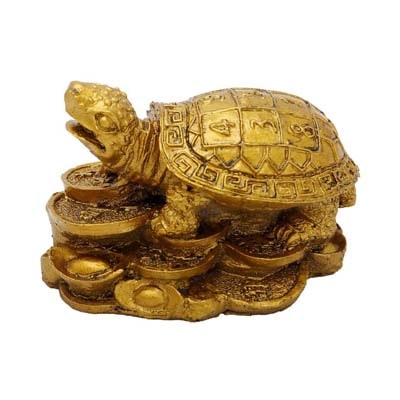

Odishabazaar Brass Feng Shui Tortoise