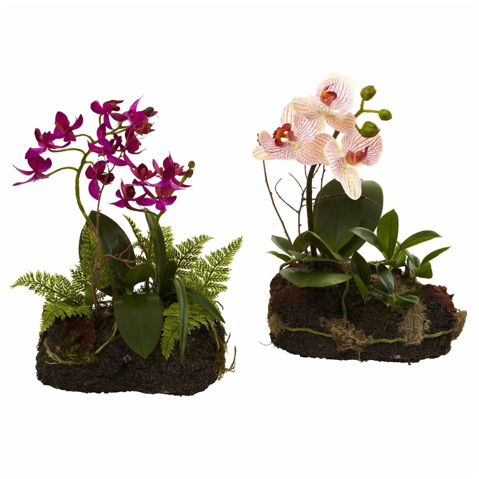 

Orchid Island (Set of 2)