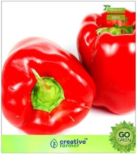 Ornamental Plant Seeds : Capsicum Seeds (Yellow;Red;Green) Premium Kitchen Garden Plant Seeds