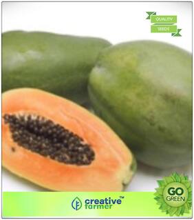 Papaya Seeds Hybrid Fruit Seeds Premium Kitchen Garden Plant Seeds