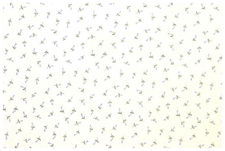 

Parkview White with small Purple Rose Buds Wallpaper - DH83040
