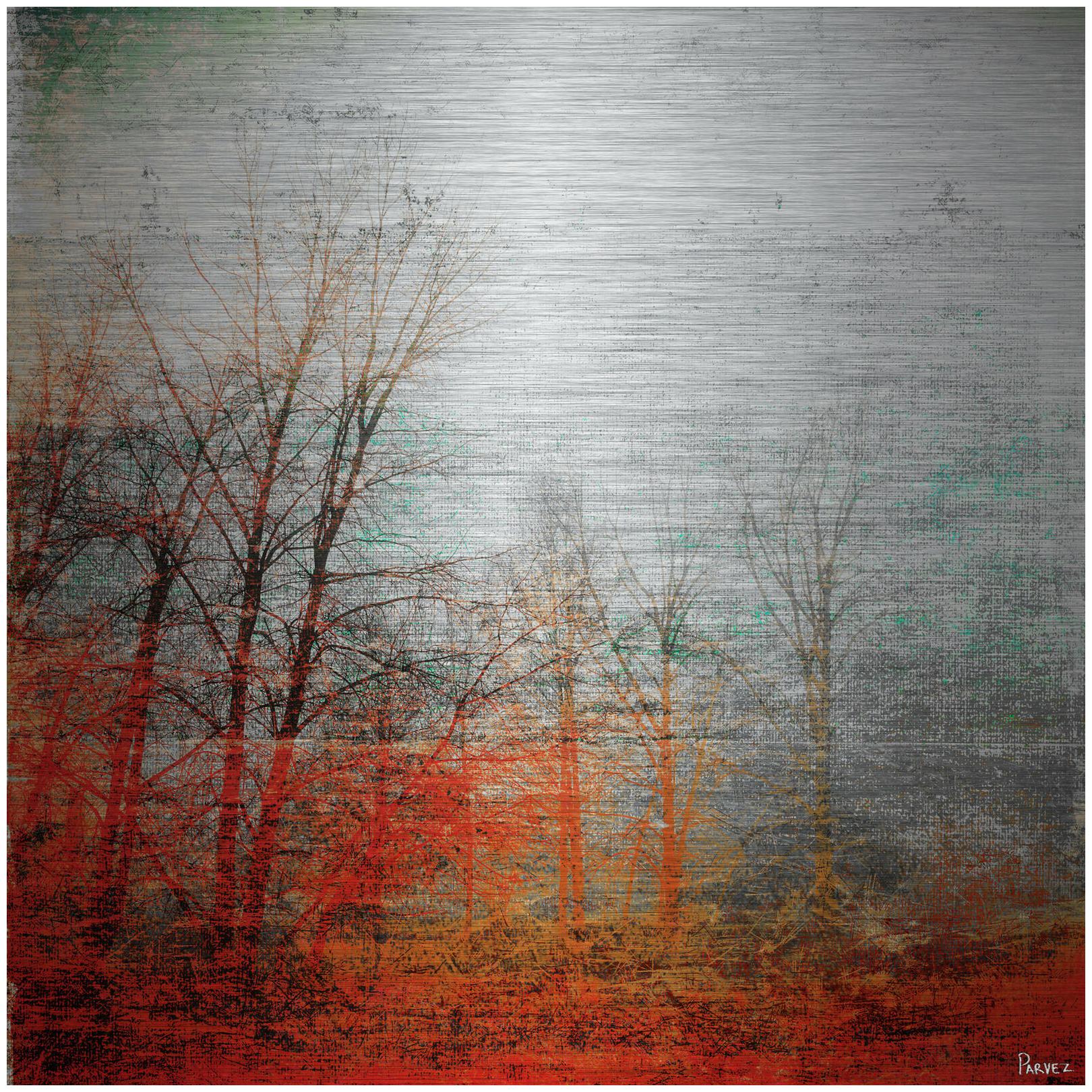 

Parvez Taj Deep Forest - on Aluminum 32 x 32 Art Print On Brushed Aluminum