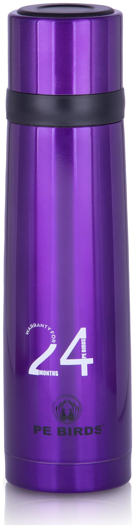 

PE BIRDS 500 ml Stainless Steel Thermosteel Flask ( Blue )