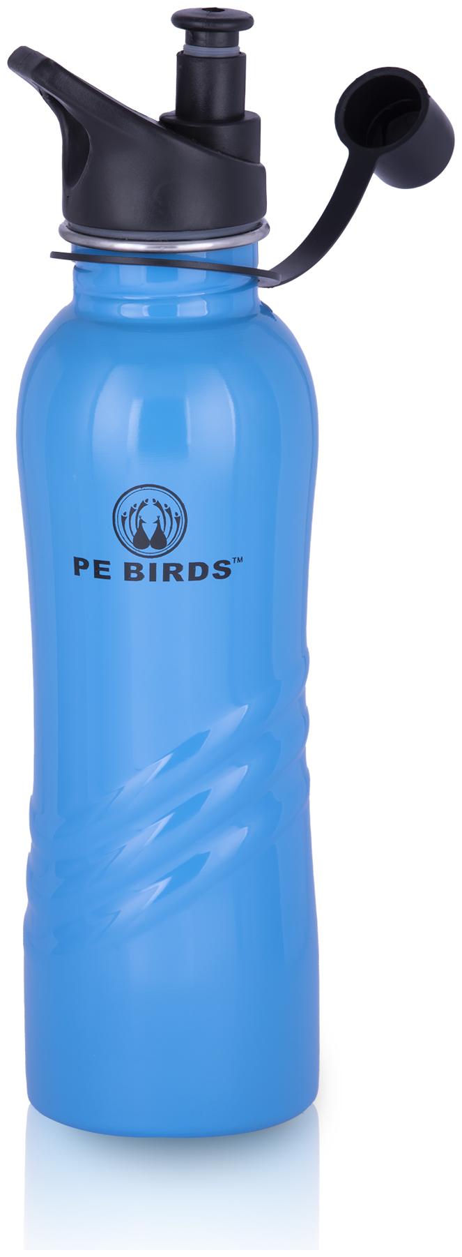 

PE BIRDS Stainless Steel Blue Water Bottle ( 750 ml Set of 1 )