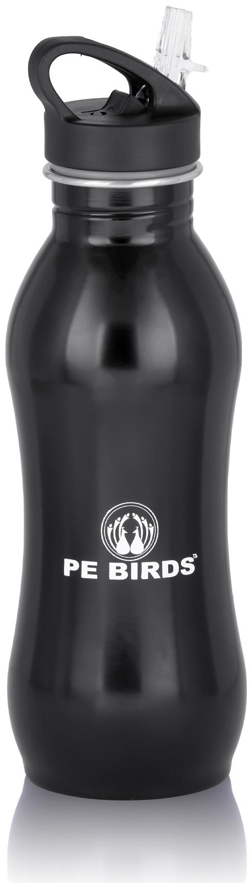 

PE BIRDS Stainless Steel Black Water Bottle ( 750 ml Set of 1 )