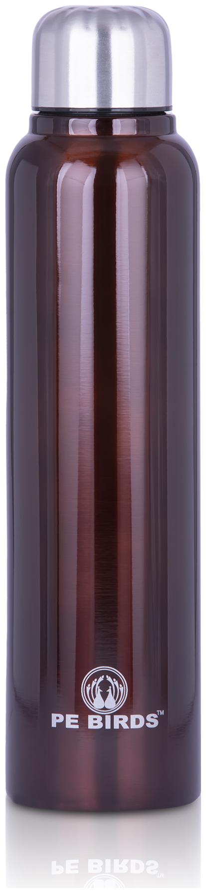 

PE BIRDS Stainless Steel Maroon Water Bottle ( 600 ml Set of 1 )