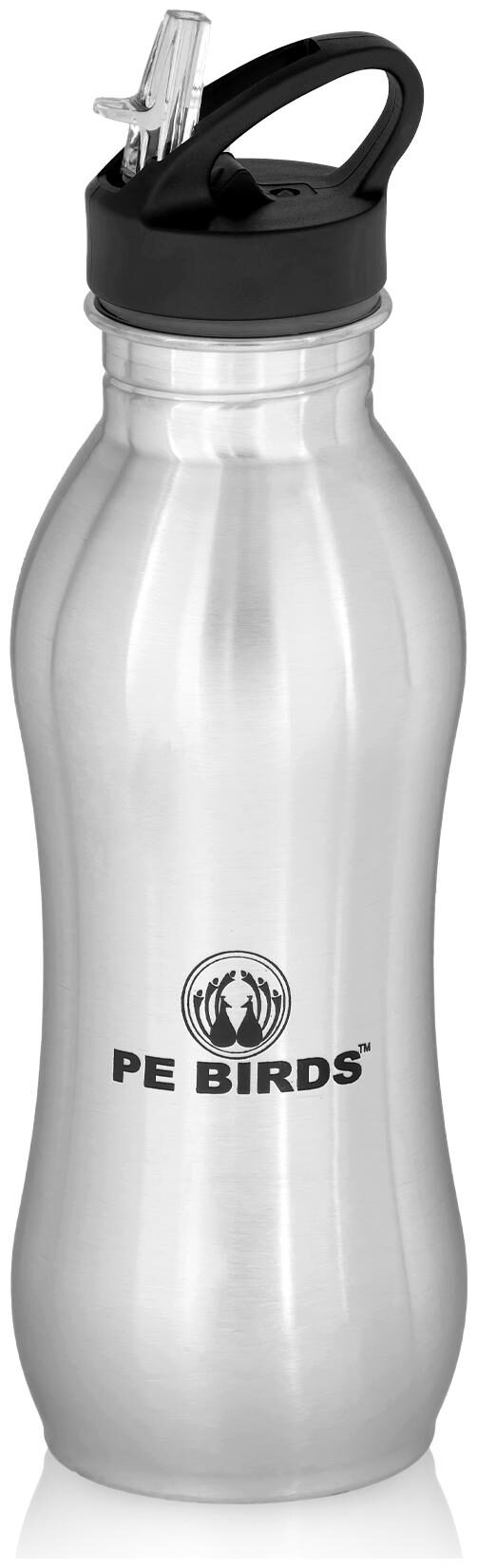 

PE BIRDS Stainless Steel Silver Water Bottle ( 750 ml Set of 1 )