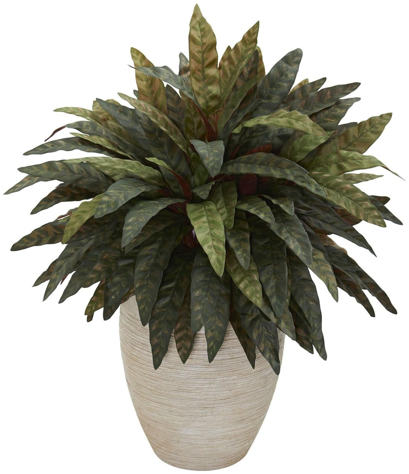 

Peacock Artificial Plant in Sand Colored Oval Planter