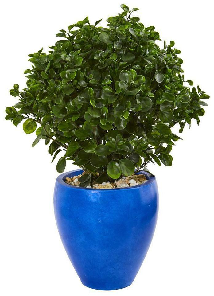 

Peperomia Artificial Plant in Blue Planter UV Resistant Nearly Natural 32 Decor