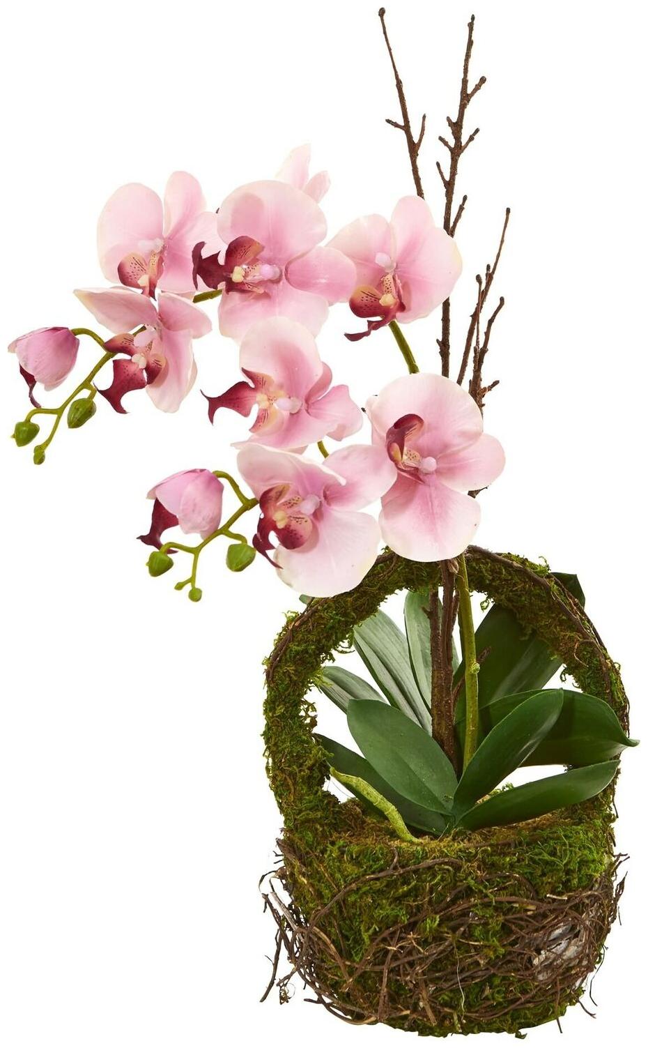 

Phalaenopsis Orchid Artificial Arrangement in Twig Basket