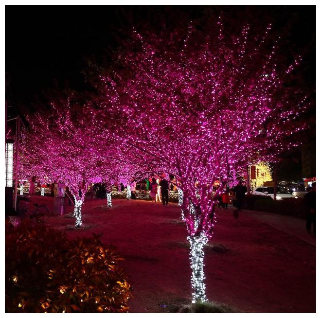 

Pink 54LEDs 12m LED String Fairy Lights Decorative Rope Firefly Lights for Patio Pathway Bedroom Outdoor and Indoor