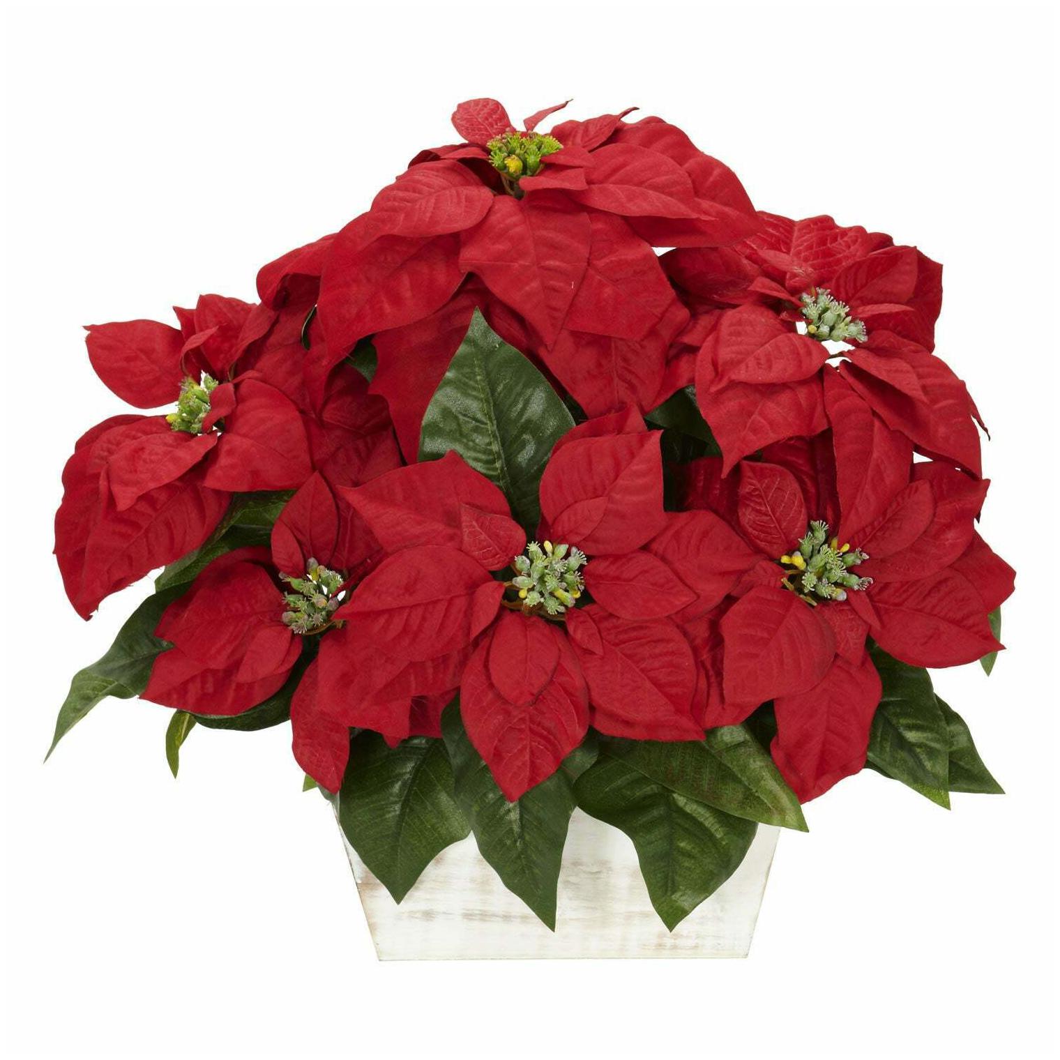 

Poinsettia with White Wash Planter Silk Flower Arrangement