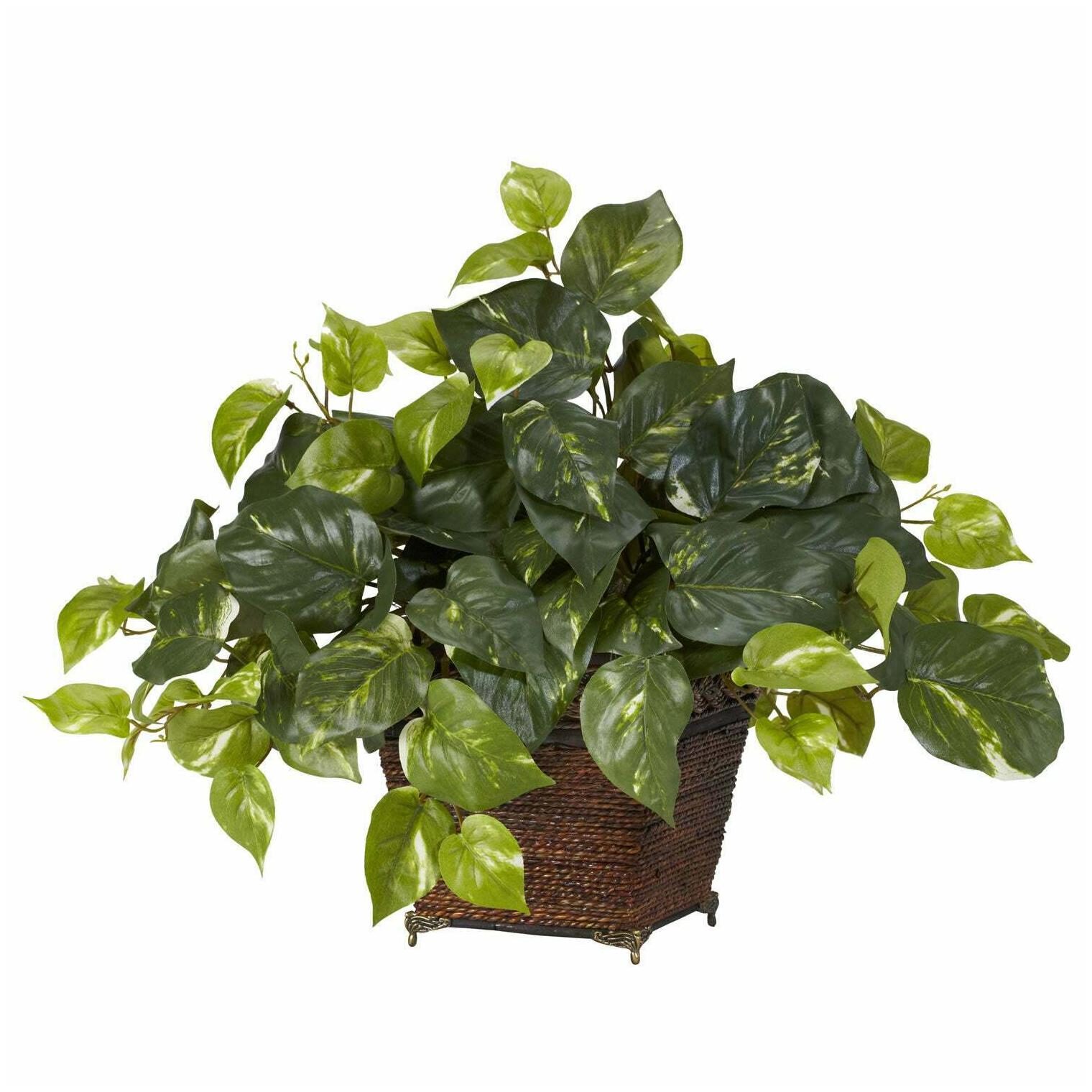 

Pothos with Coiled Rope Planter Silk Plant Modern Contemporary