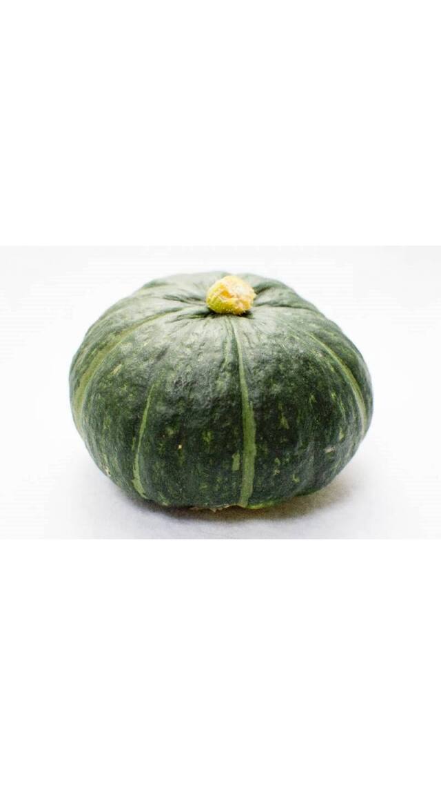 Pumpkin Small Sitafal Magnif Vegetables Seeds - Pack of 30 Hybrid Seeds