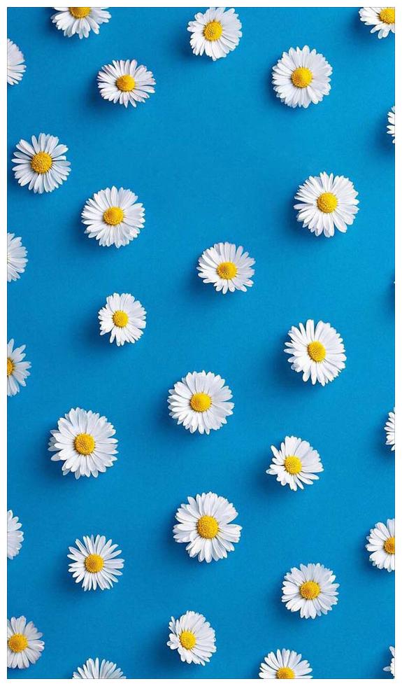 

Purvani Miniature Wall Art Print Board-Design 130