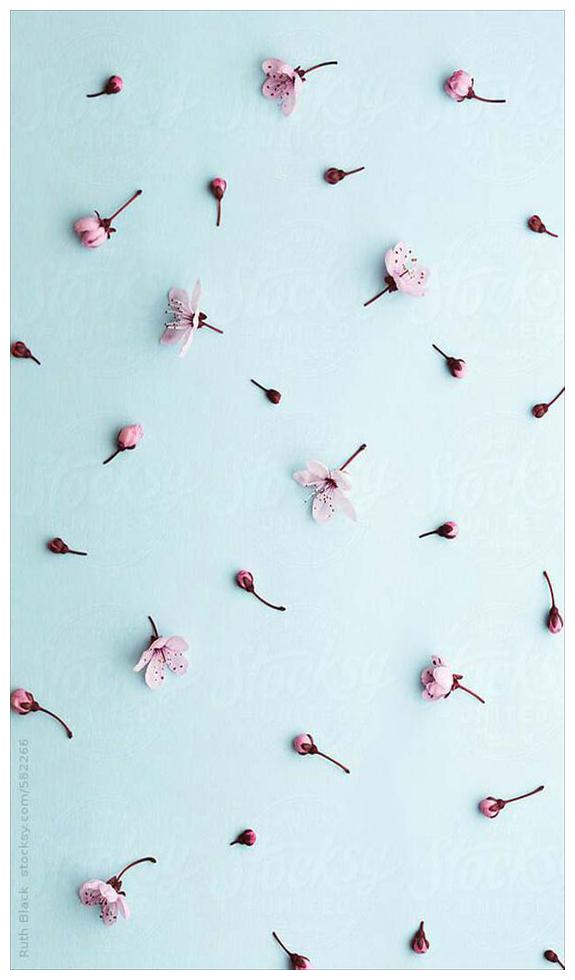 

Purvani Miniature Wall Art Print Board-Design 70