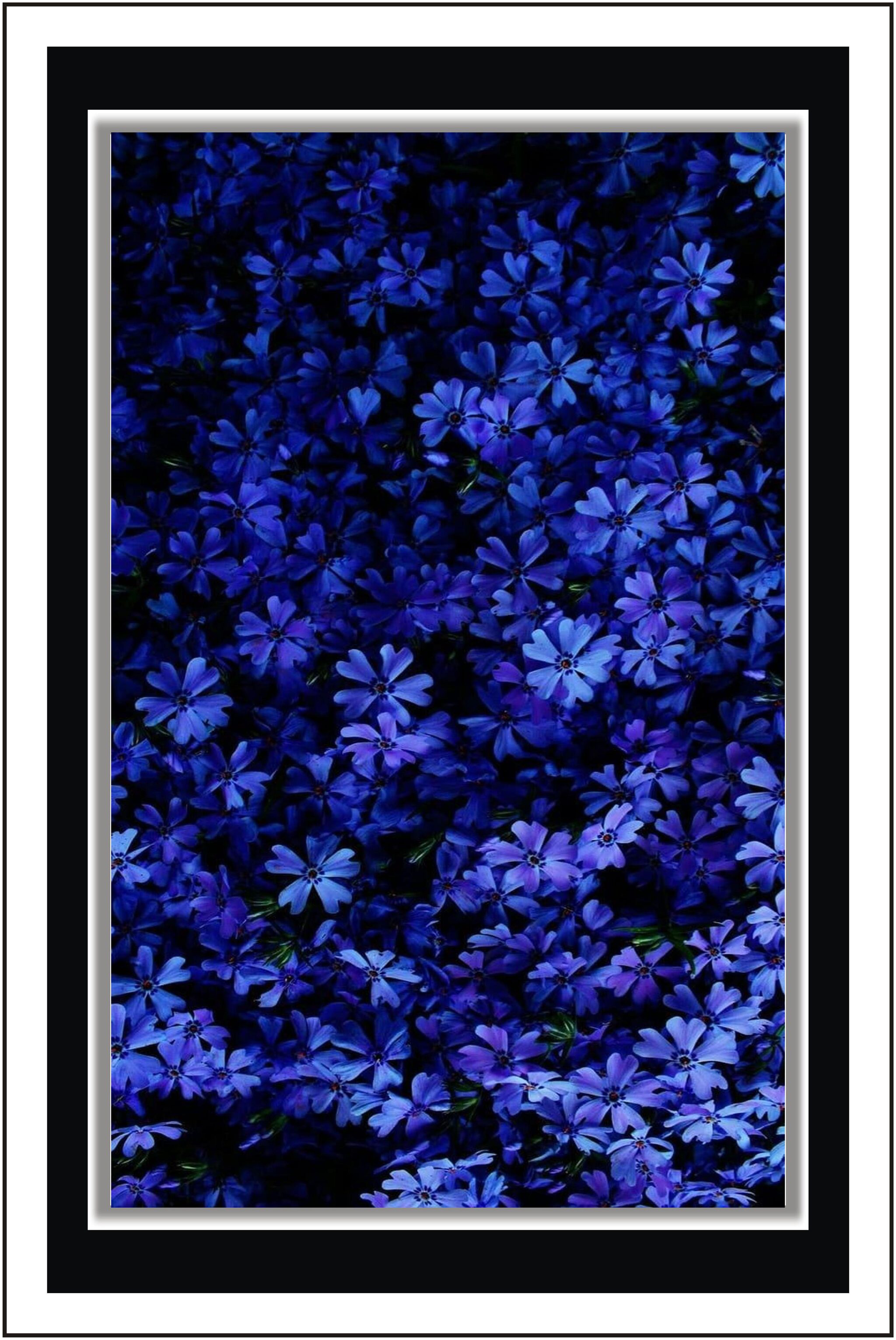 

Purvani Paper Poster Wall Sticker Print Decor Print