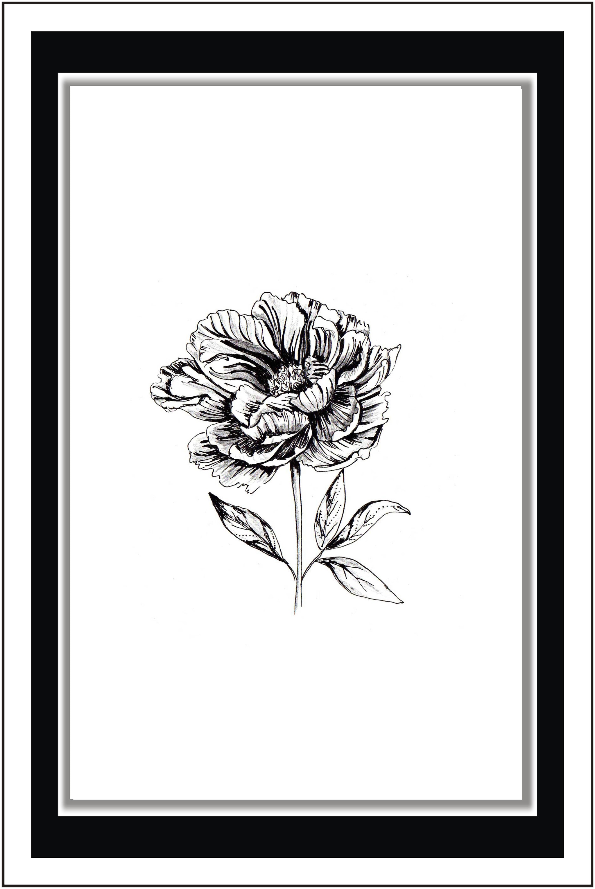 

Purvani Peonia Drawing - Paper Poster Wall Sticker Print Decor Print