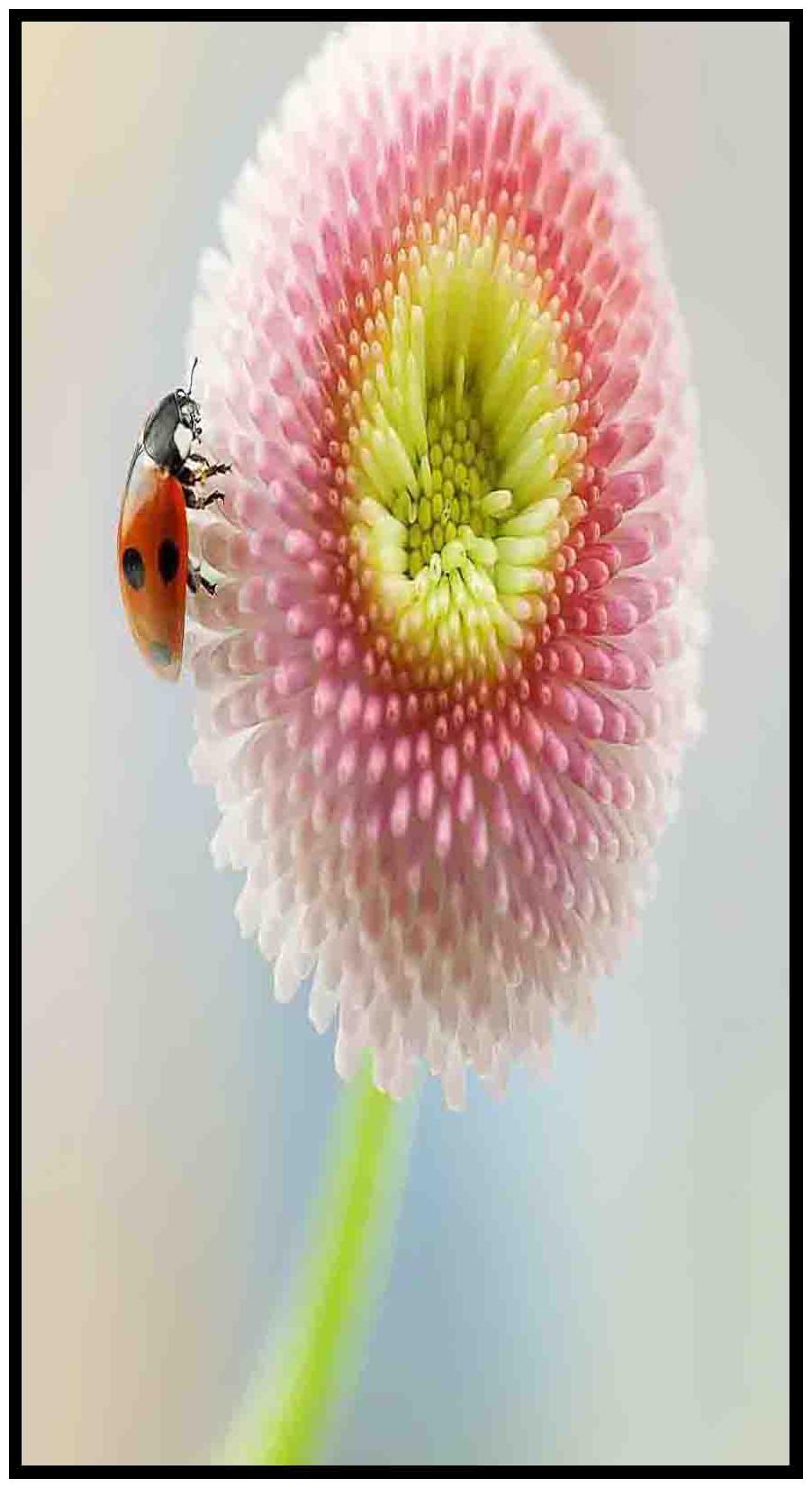 

Purvani Wall Art Printed on MDF with Hand Textured Lamination (7 x 4 inches)