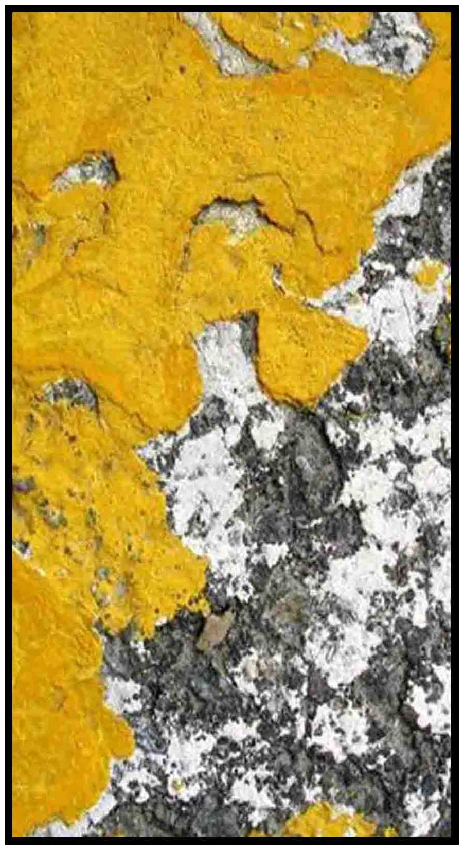 

Purvani Wall Art Printed on MDF with Hand Textured Lamination (7 x 4 inches)