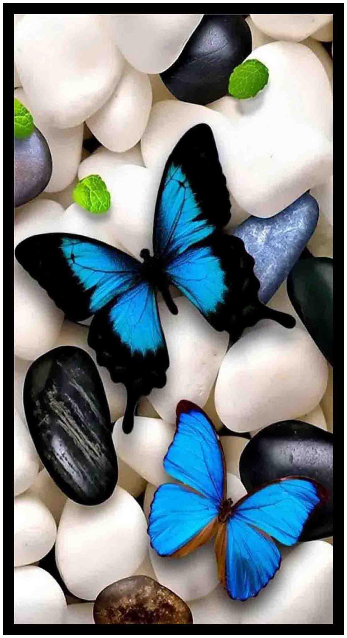 

Purvani Wall Art Printed on MDF with Hand Textured Lamination (7 x 4 inches)
