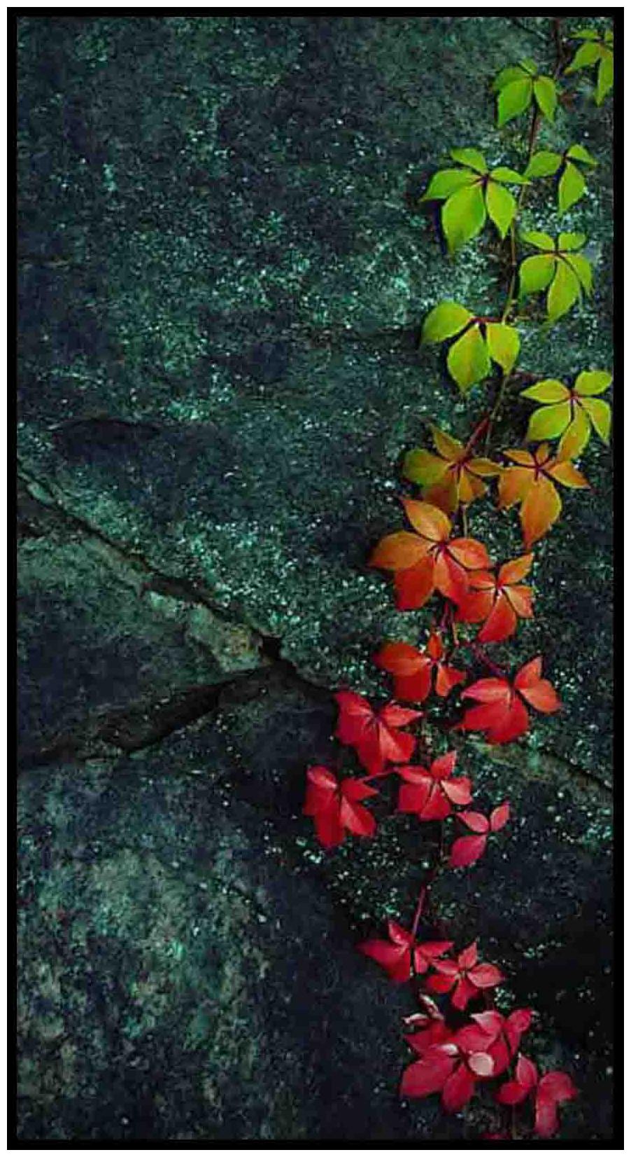 

Purvani Wall Arts on MDF with Texture Lamination (7 x 4 inches)