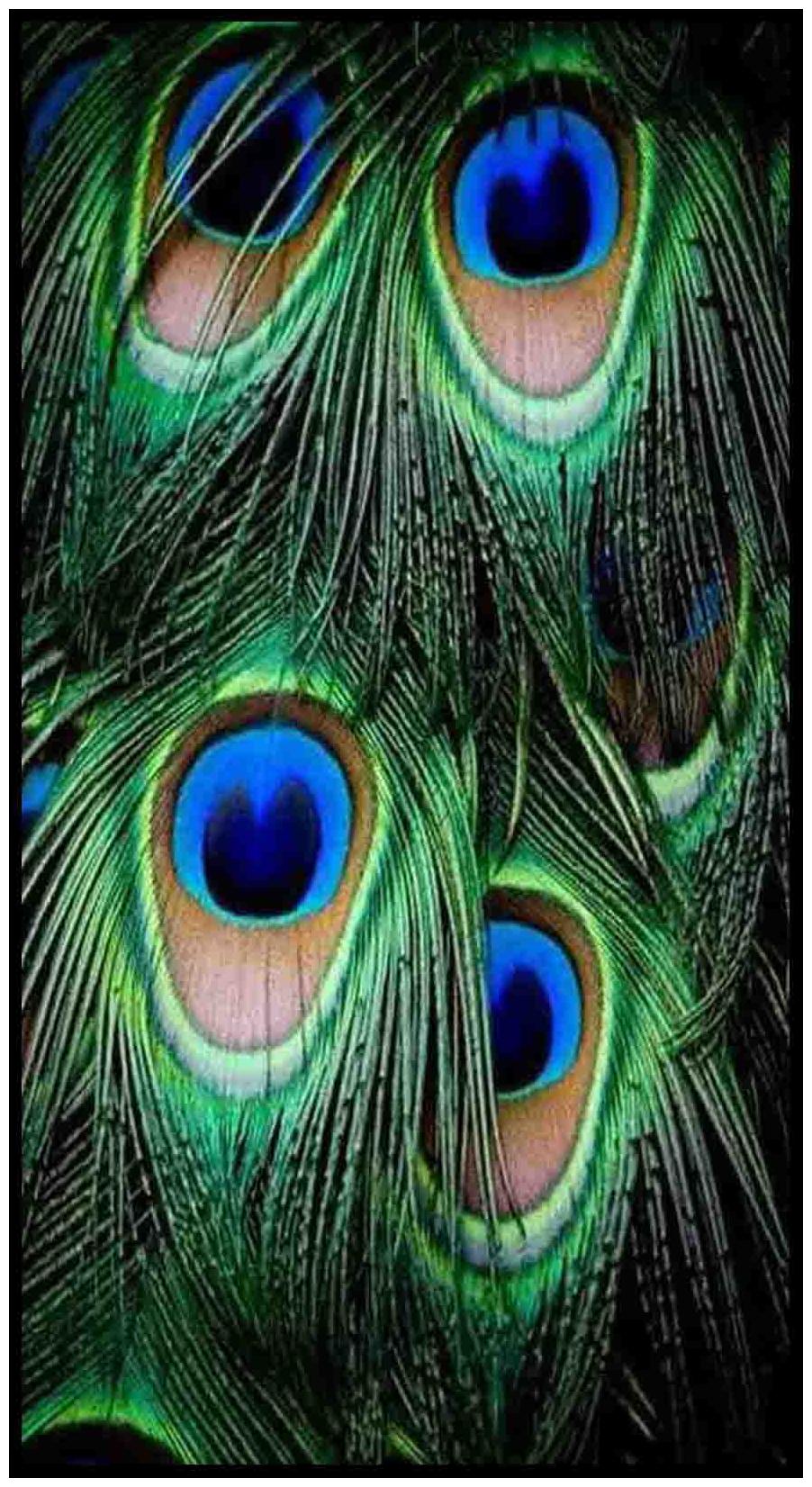 

Purvani Wall Art Printed on MDF with Hand Textured Lamination (7 x 4 inches)