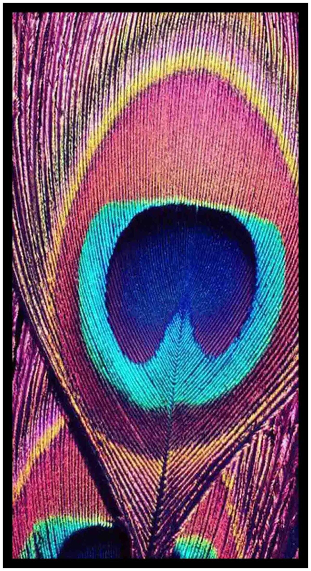 

Purvani Wall Art Printed on MDF with Hand Textured Lamination (7 x 4 inches)