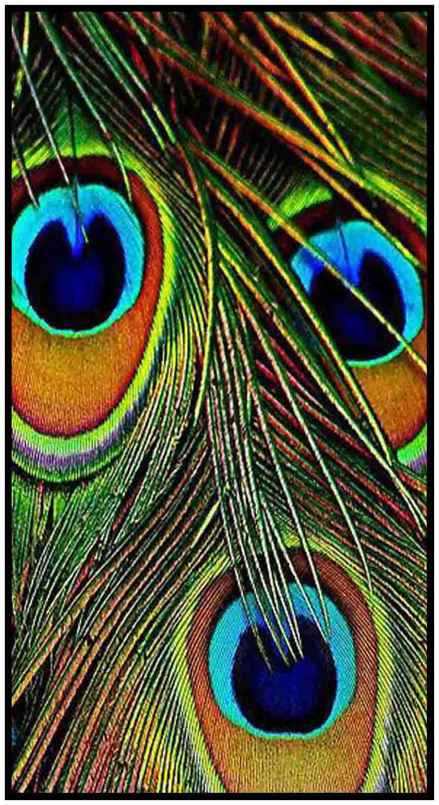 

Purvani Wall Art Printed on MDF with Hand Textured Lamination (7 x 4 inches)