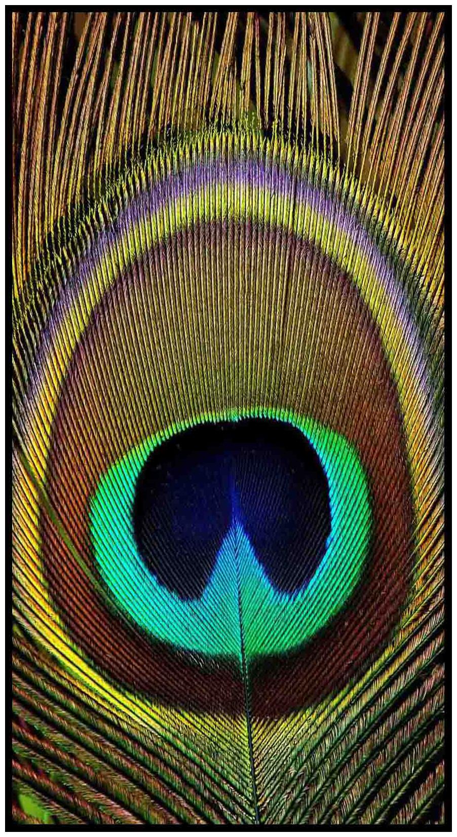 

Purvani Wall Art Printed on MDF with Hand Textured Lamination (7 x 4 inches)