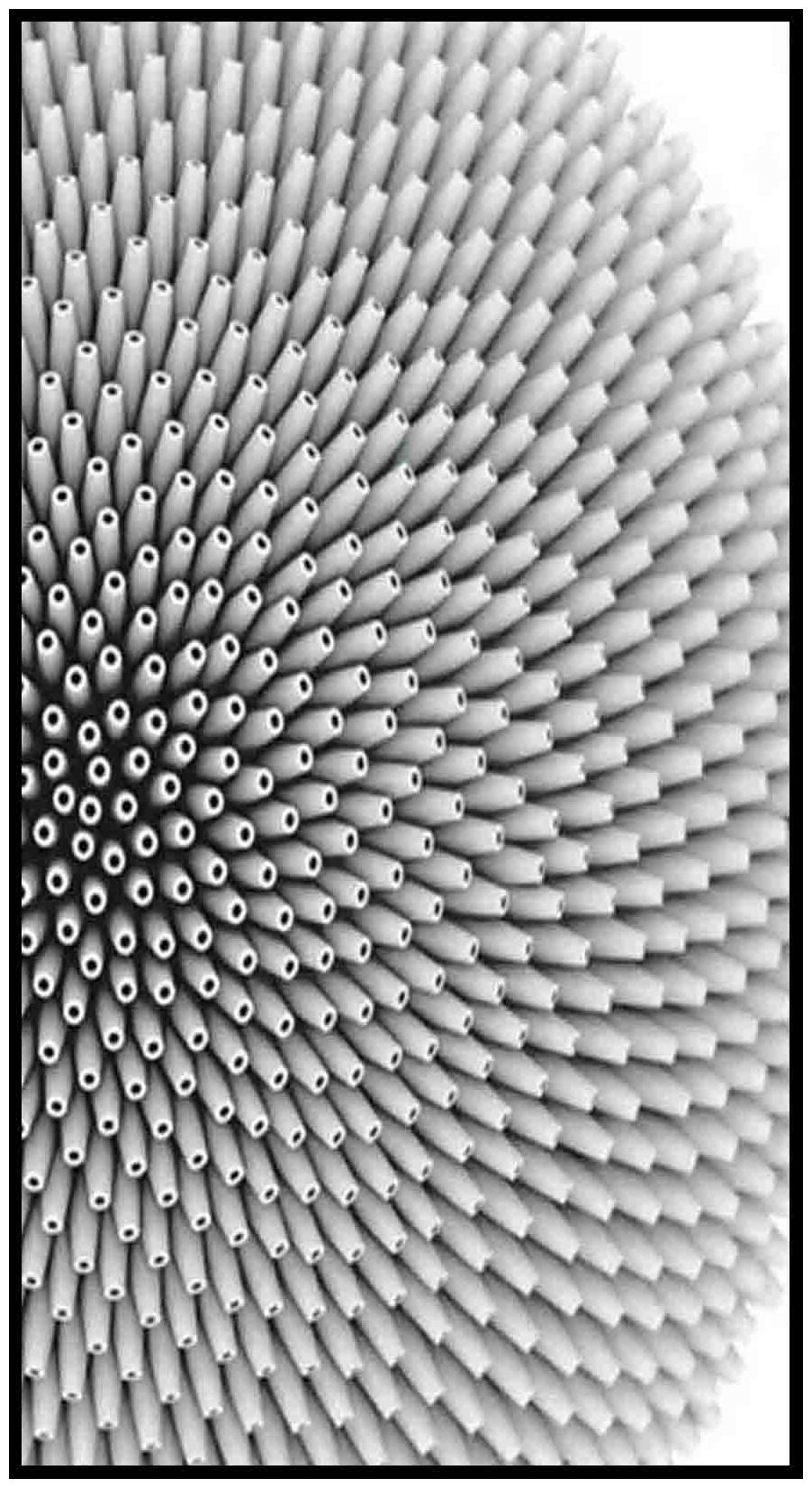 

Purvani Wall Art Printed on MDF with Hand Textured Lamination (7 x 4 inches)
