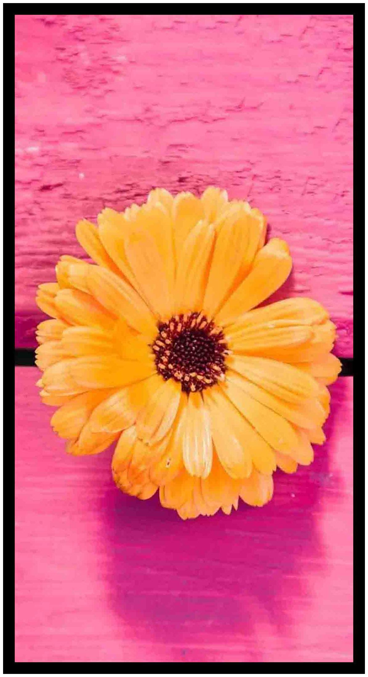 

Purvani Wall Art Printed on MDF with Hand Textured Lamination (7 x 4 inches)