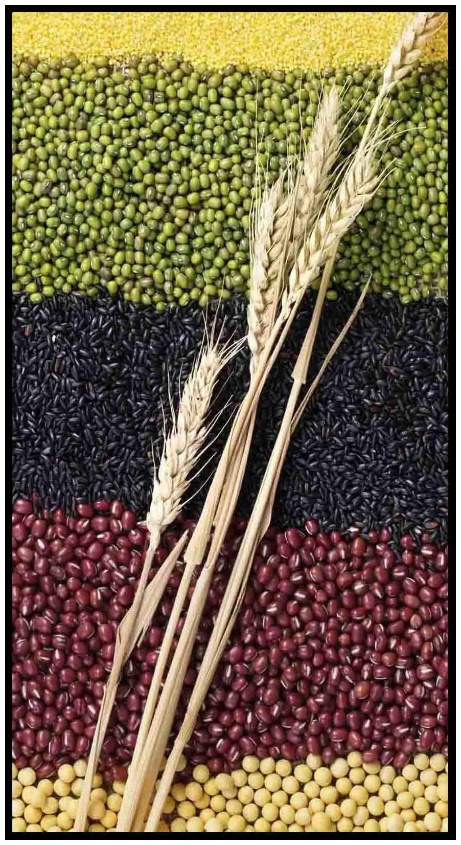 

Purvani Wall Art Printed on MDF with Hand Textured Lamination (7 x 4 inches)
