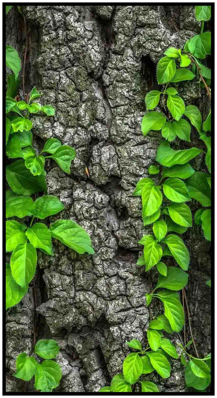 

Purvani Wall Art Printed on MDF with Hand Textured Lamination (7 x 4 inches)